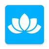 磁力播